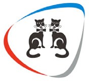 CopyCat